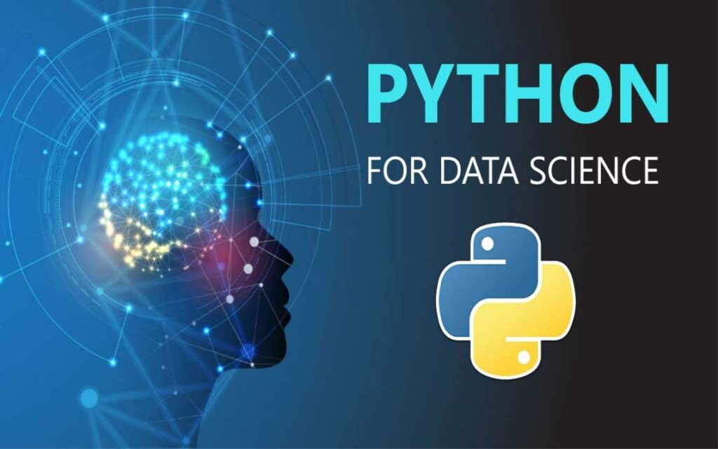 Why Your Company Should Use Python For Business Analytics?