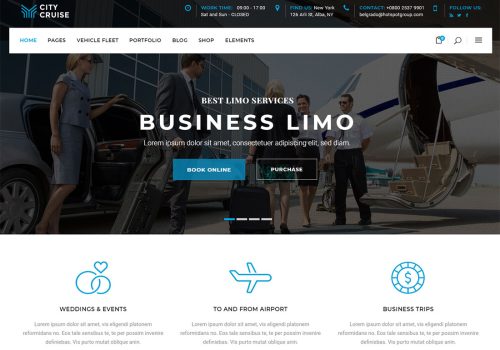 Airport Ride - Website