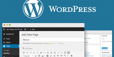 WordPress Website Development Services - Fast Online